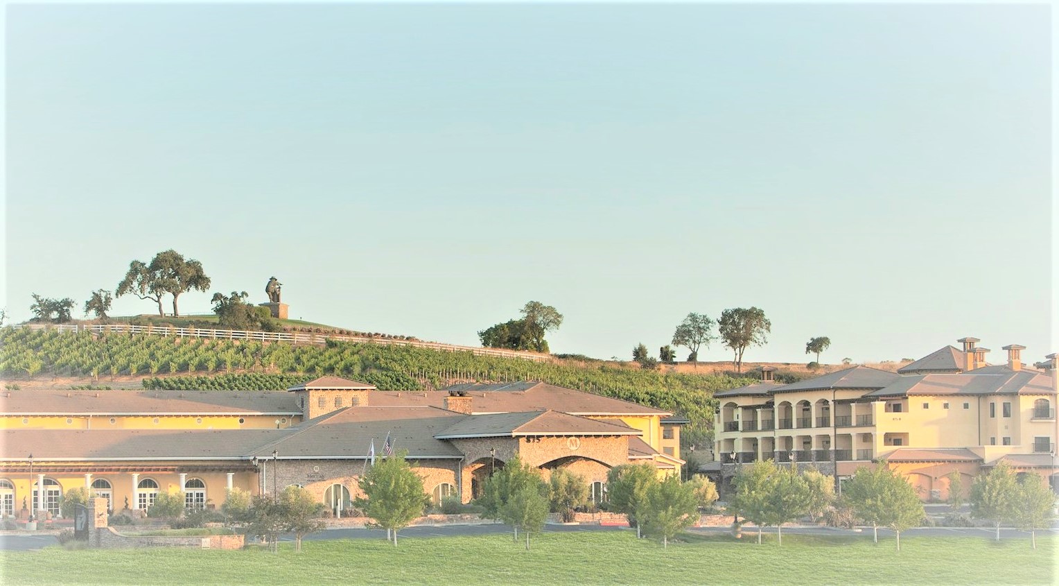 Meetings Western Section AUA